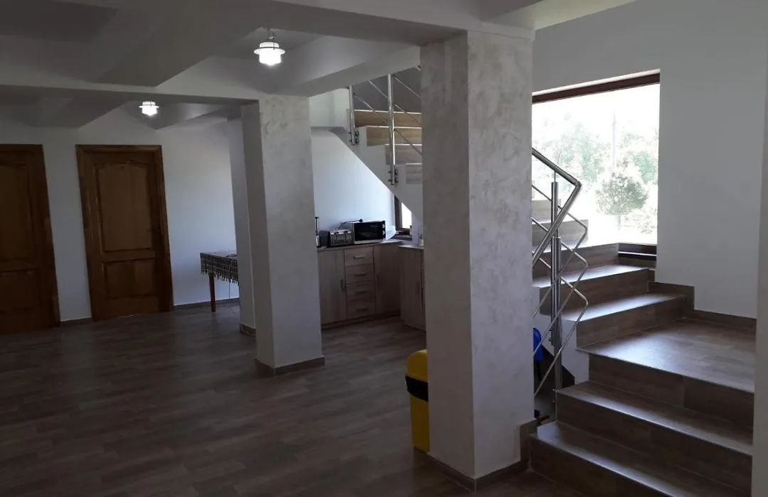 Vila Ovidiu-1